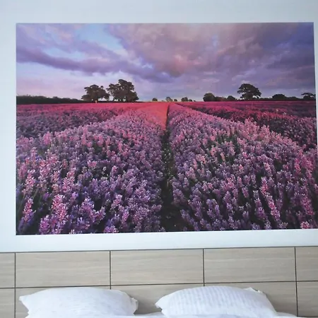 Pensiunea Natura Craiova