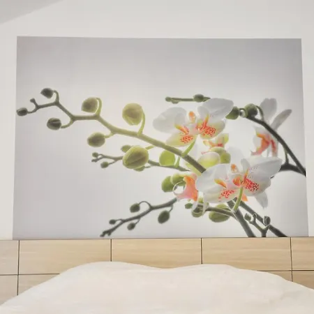 Pensiunea Natura Penzion 4*