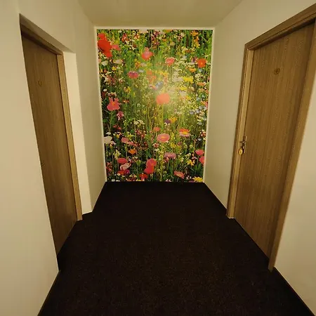 Pensiunea Natura Penzion 4*