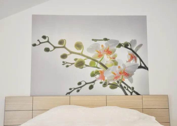 Pensiunea Natura בית הארחה 4*