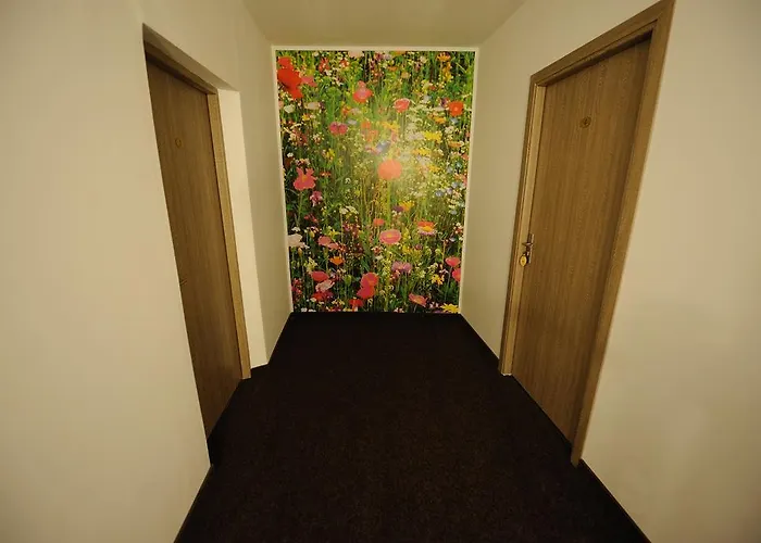 Pensiunea Natura בית הארחה 4*